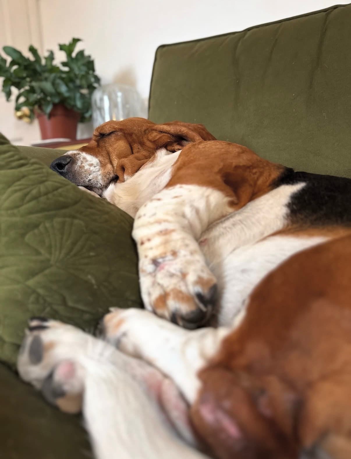 Ellie